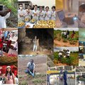 article thumbnail image