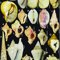 article thumbnail image