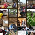 article thumbnail image
