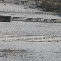 article thumbnail image