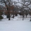 article thumbnail image