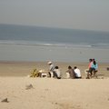 article thumbnail image