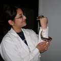 article thumbnail image