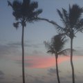 article thumbnail image