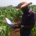 SODEDJI KPEDETIN ARIEL FREJUS: photo