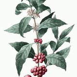 Đoàn Ngọc Quỳnh Thư: photo